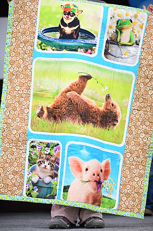 Jr. Quilt Show-26