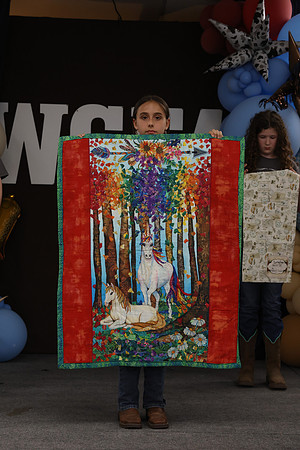 Jr. Quilt Show-160