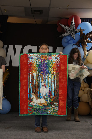 Jr. Quilt Show-161