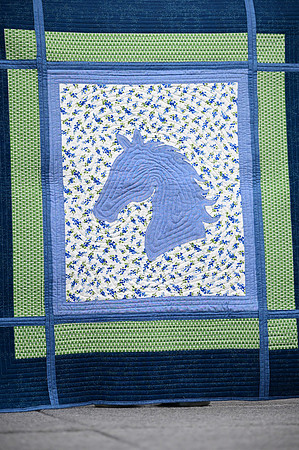 Jr. Quilt Show-40