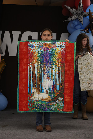 Jr. Quilt Show-159