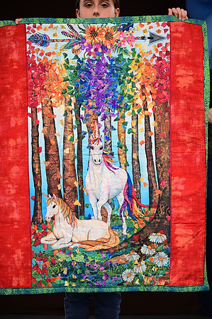 Jr. Quilt Show-15
