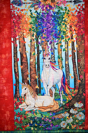 Jr. Quilt Show-16