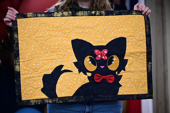Jr. Quilt Show-9