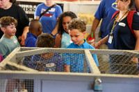 Kindergarten Day-3