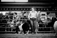 WCF 2026- Market Barrow Show