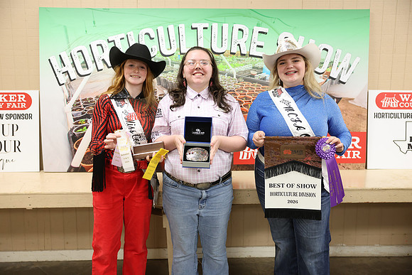 Horticulture Show-4