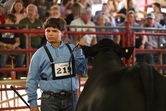 SteerShow-75