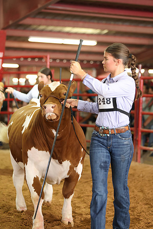 SteerShow-61