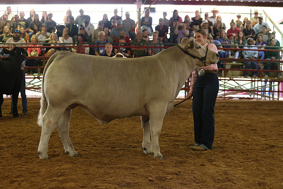 SteerShow-49