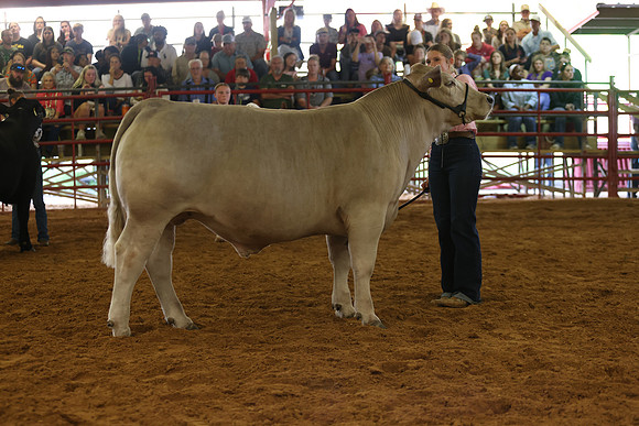 SteerShow-48