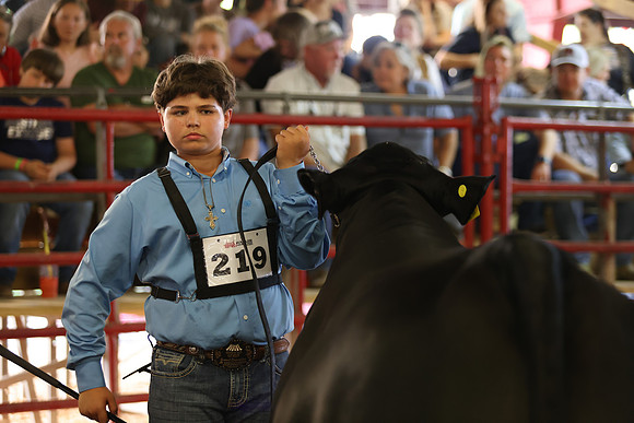 SteerShow-74