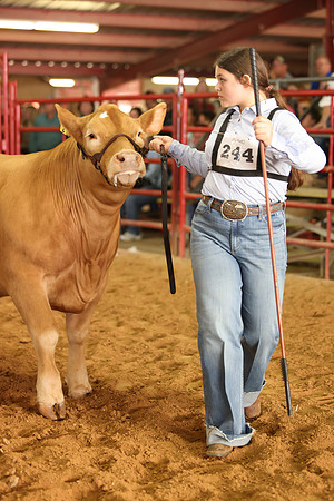 SteerShow-60