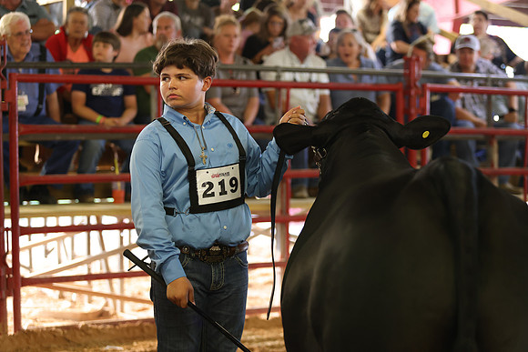SteerShow-76
