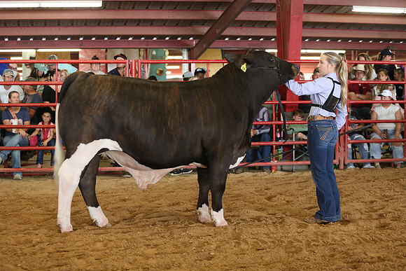 SteerShow-89