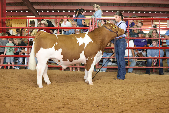 SteerShow-62