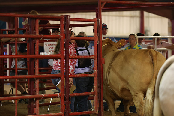 SteerShow-5