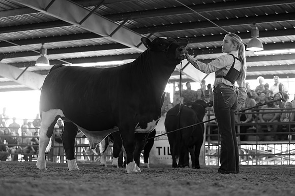 SteerShow-88