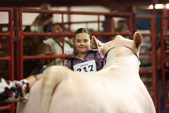 SteerShow-4