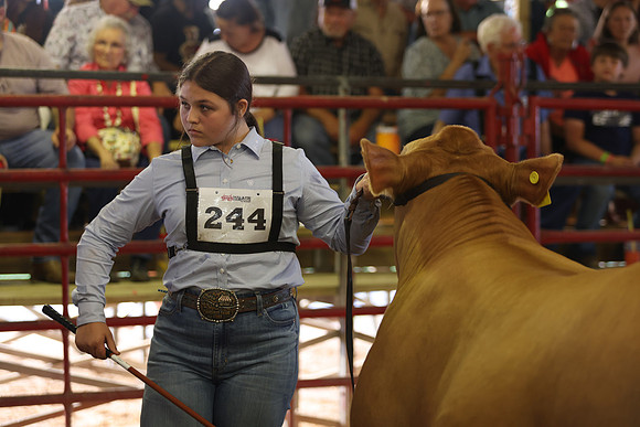 SteerShow-77