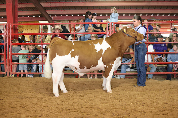 SteerShow-63