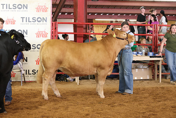 SteerShow-67