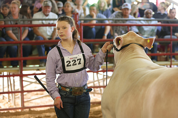 SteerShow-73