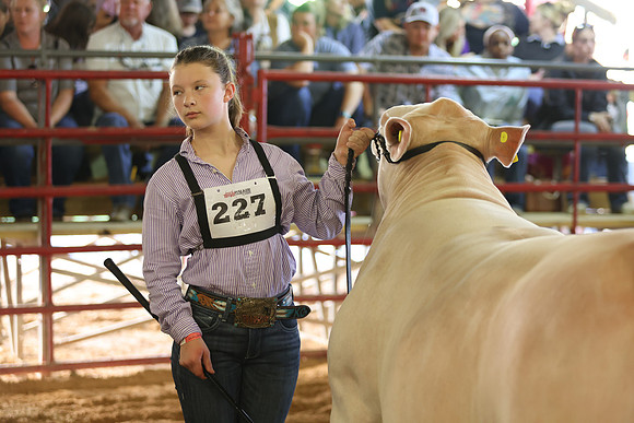SteerShow-72