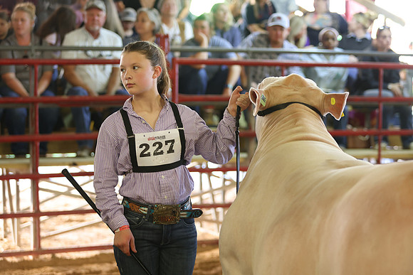 SteerShow-70