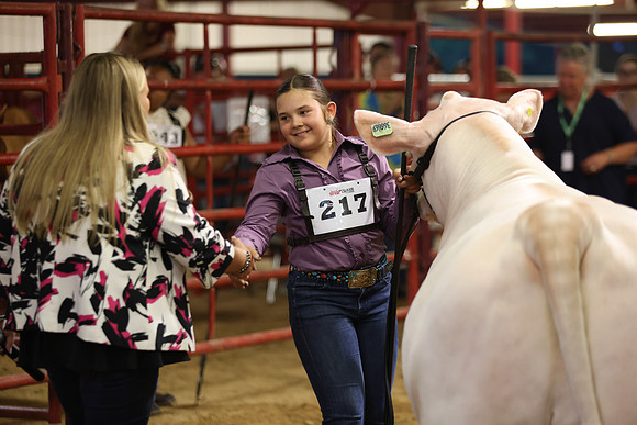 SteerShow-2