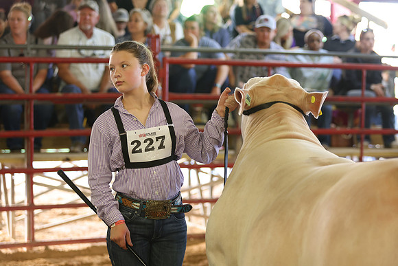 SteerShow-71