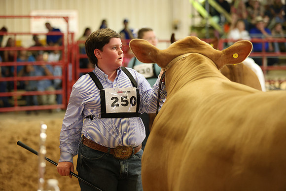 SteerShow-16