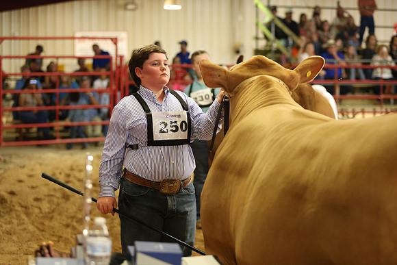 SteerShow-17