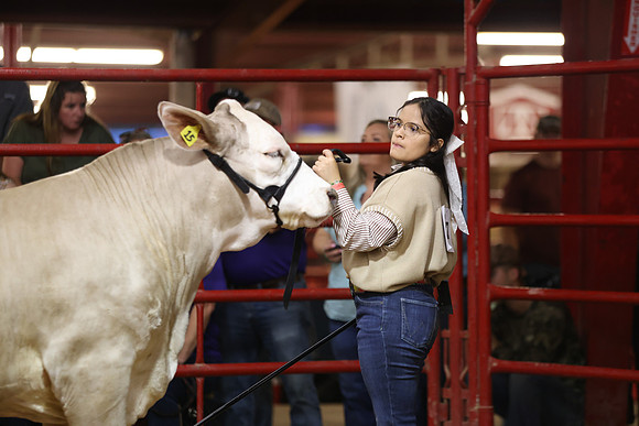 SteerShow-15