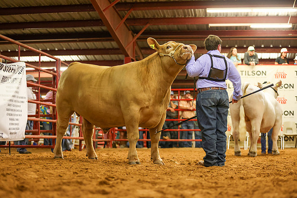 SteerShow-14