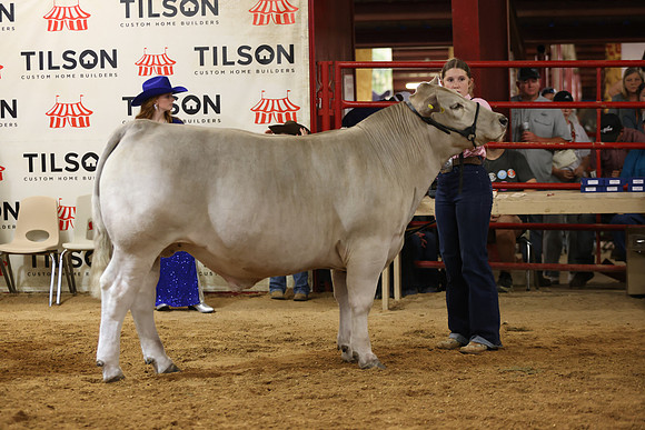 SteerShow-11