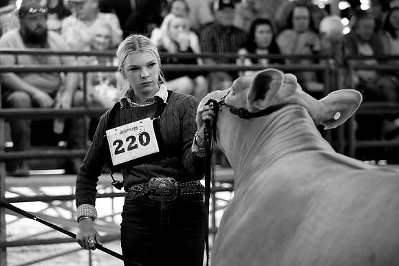SteerShow-37