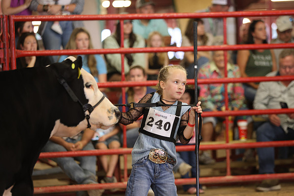 SteerShow-23
