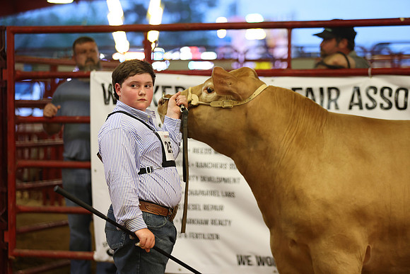 SteerShow-13