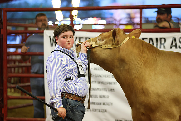 SteerShow-12