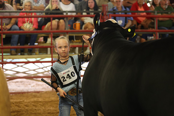 SteerShow-34