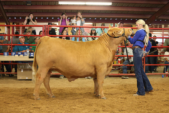 SteerShow-22