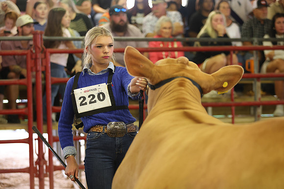 SteerShow-36