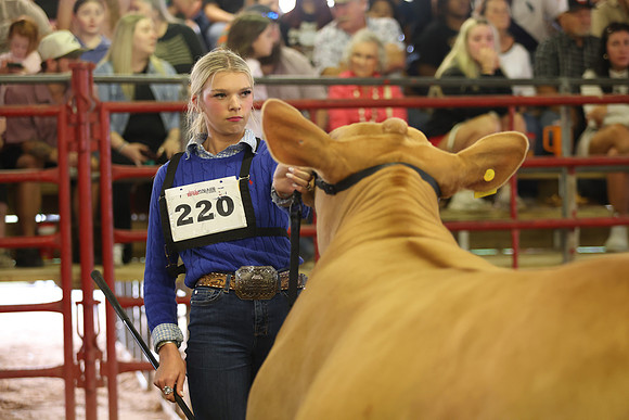 SteerShow-35