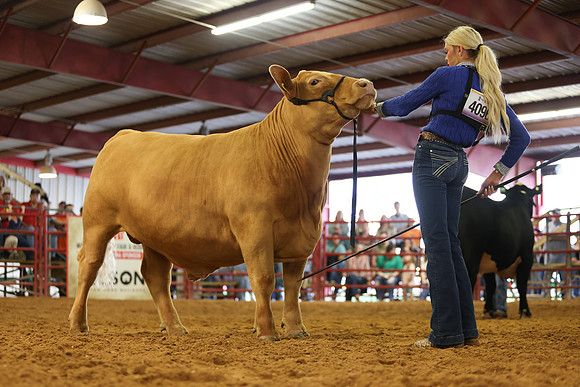 SteerShow-20