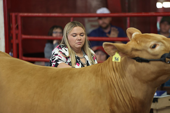 SteerShow-21