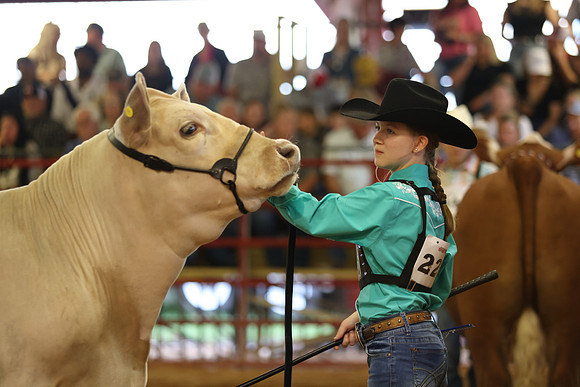 SteerShow-19
