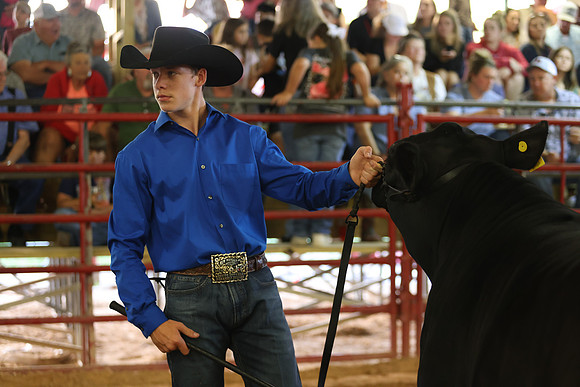 SteerShow-31