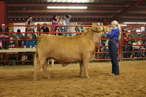 SteerShow-25