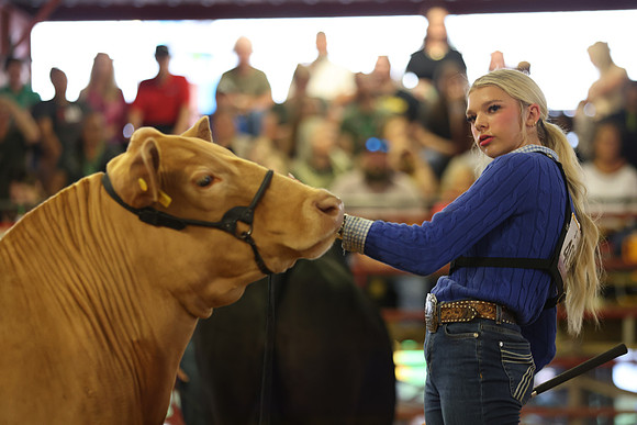 SteerShow-18